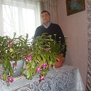 ���� ������� ������, �����, 80 ��� - ��������� 20 ������� 2020 � ������ ���� ����������