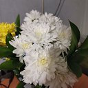 ���� �����, �����������, 60 ��� - ��������� 15 ������ 2020 � ������ ���� ����������