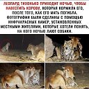 ���� Genza, ����������� - ��������� 19 ���� 2020 � ������ ������ ��������