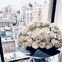 ���� ������, ������� - ��������� 27 ������� 2020 � ������ ������ ��������