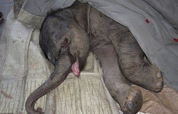 �������� ��������� 5 ����� ����� ������� � �������.�� ���������� ����� � ��������!