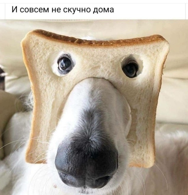 ���� - 6 ��� 2020 � 06:46