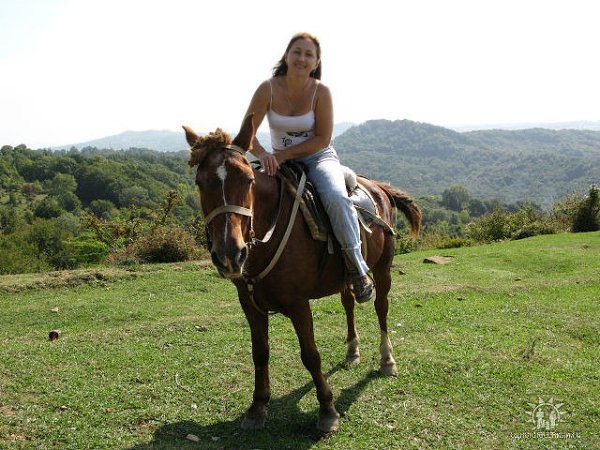 (    )...     .       ...