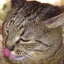 ���� ������, ������ - ��������� 25 ��� 2020 � ������ ���� ����������