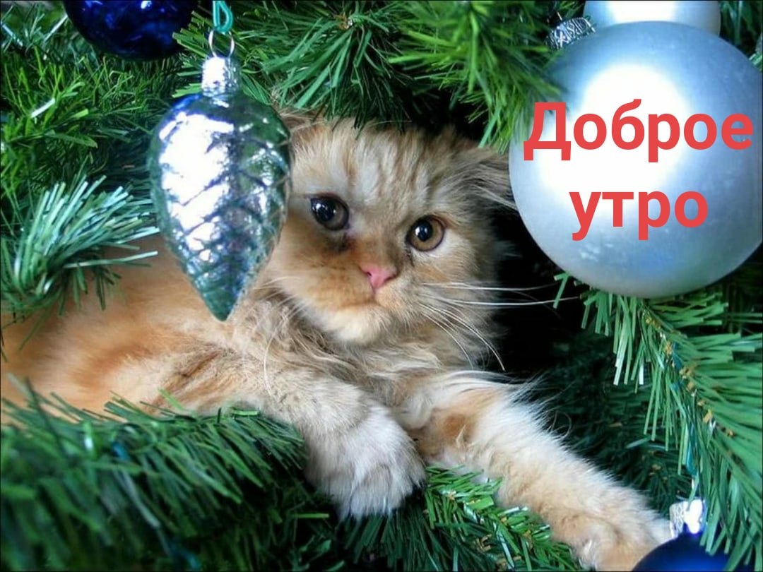   ,    . - 7  2020  22:25