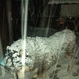 ���� ������, ��������, 57 ��� - ��������� 17 ������ 2020