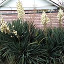 ���� ����, �������, 57 ��� - ��������� 4 ������� 2020 � ������ ���� ����������