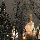 ���� ������, ������, 74 ���� - ��������� 29 ������ 2020 � ������ ���� ����������