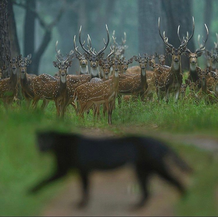 O e   aa: ee oeo, oa, oa a eee, oea a ... - 4