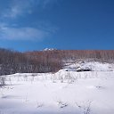 ���� �����������, ���������, 66 ��� - ��������� 25 ������� 2020 � ������ ���� ����������