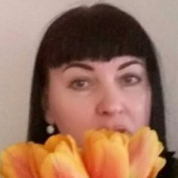 ��������, ������, 50 ���