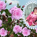 ���� ���������, ��������� - ��������� 26 ���� 2020 � ������ ���� ����������