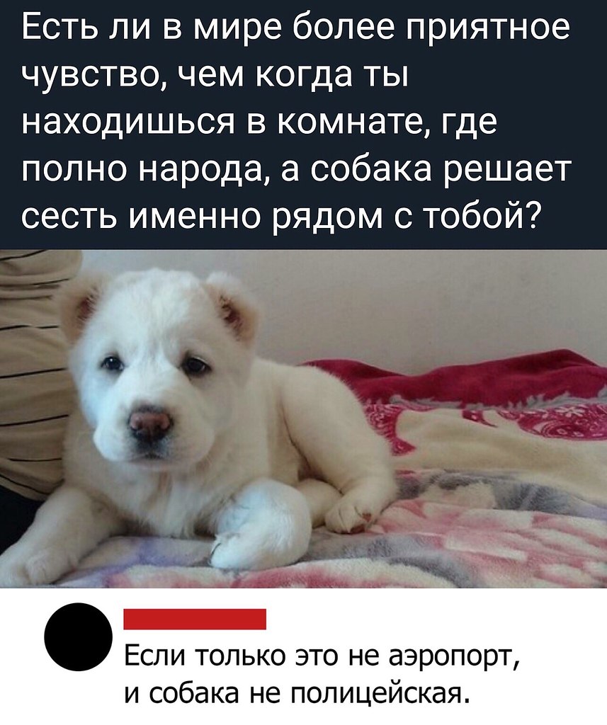   !)