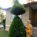 ���� ����, ���, 71 ��� - ��������� 29 ������� 2020 � ������ ���� ����������