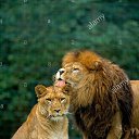 ���� �������, ��������, 55 ��� - ��������� 5 ������ 2020