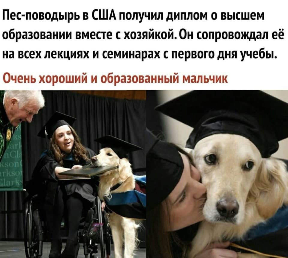  - 3  2020  01:23 - 2