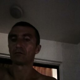 , 46, 
