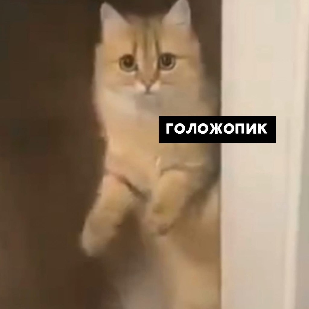   - 8