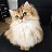 ���� �������, ������, 49 ��� - ��������� 1 ���� 2020