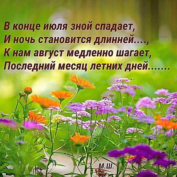 31 июля: какой сегодня праздник, день ангела и этот день в истории — Украина