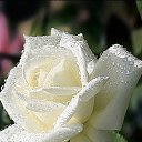 ���� ��������� �����, ��� �� ����������� � ������ ������, ���� �������� � � ������ ������ � �������� ������ �����&hellip;