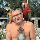 ���� ����, ������������, 52 ���� - ��������� 18 ��� 2020