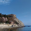 ,, ,08.03.20.16.30.    2020