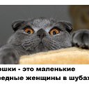 ���� ������, ������, 53 ���� - ��������� 17 ������ 2020 � ������ ������ ��������