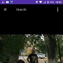 ���� Nik, ���������, 53 ���� - ��������� 13 ������ 2020