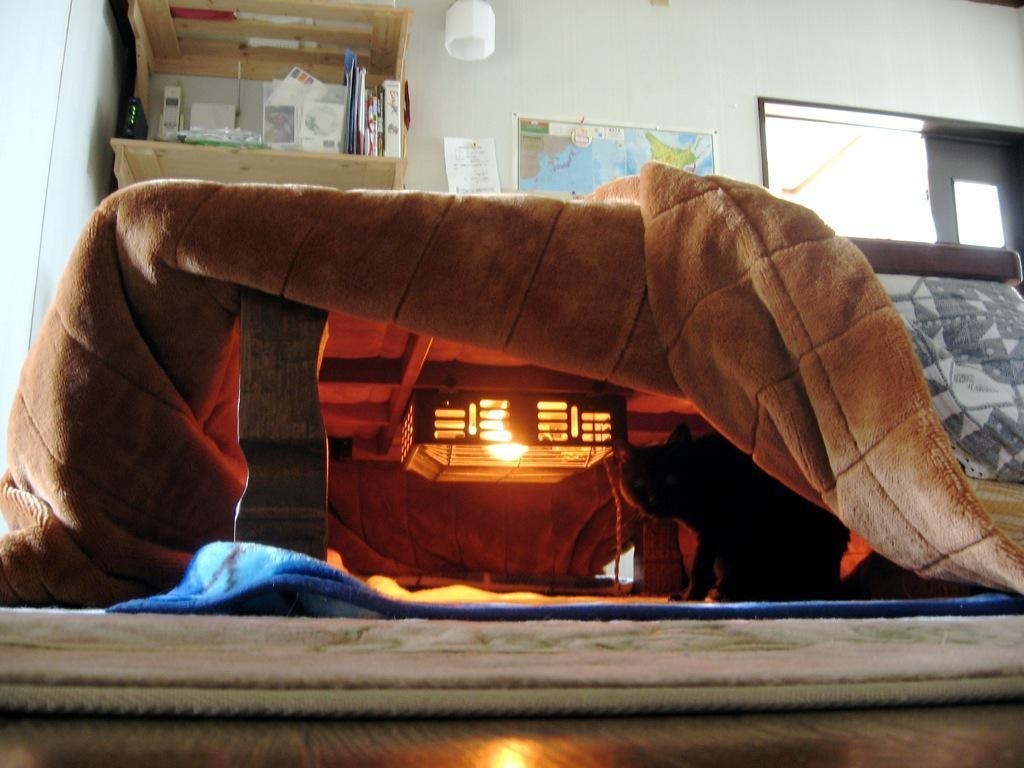 ظ -   .         . , .