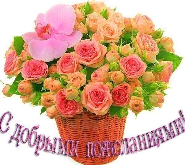   ,    . - 25  2020  17:38