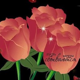 ���� �����, �����, 66 ��� - ��������� 15 ������ 2020