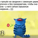 ���� ���������, ����������, 66 ��� - ��������� 21 ������ 2020