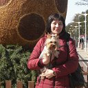 ���� �������, ��������������, 56 ��� - ��������� 27 ������ 2020 � ������ ���� ����������