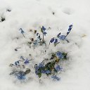  ,  , 63  -  30  2020    