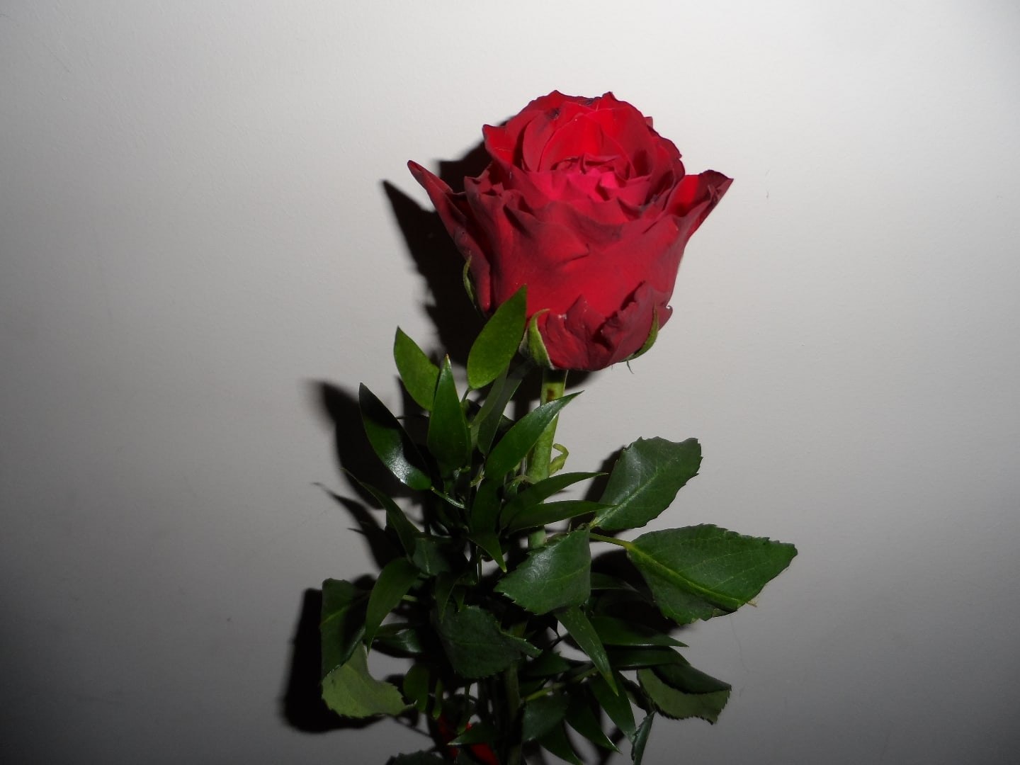  - 10  2020  20:57 - 2