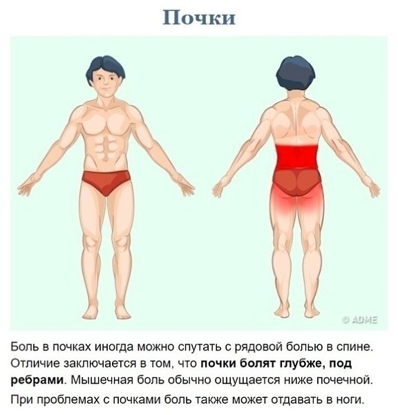        - 5