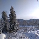 ���� �������, �����������, 44 ���� - ��������� 11 ������ 2020 � ������ ���� ����������