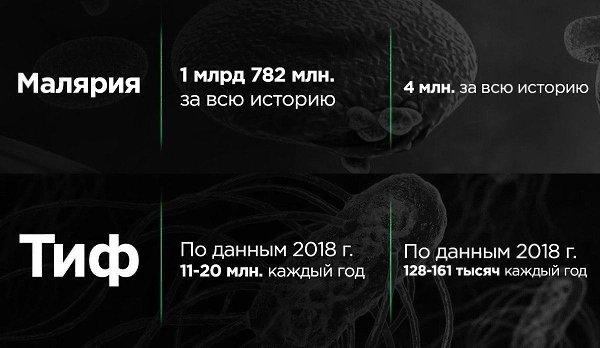 Коронавирус, во всяком случае на данный момент - это вообще не страшно... - 4