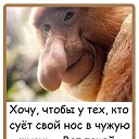  , -, 31  -  16  2020    