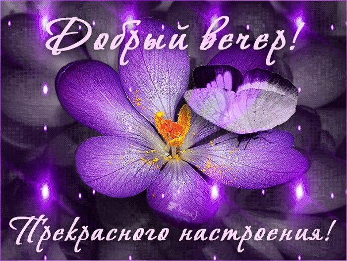   ,    . - 5  2020  19:21