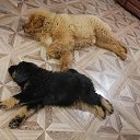 ���� �����, ��������� - ��������� 22 ������� 2020 � ������ ���� ����������