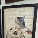 ���� ����, ����� - ��������� 19 ���� 2020 � ������ ���� ����������