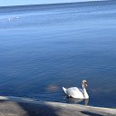 ���� �anj@, ������ - ��������� 9 ��� 2020 � ������ �������