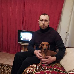 Den, ������, 46 ���