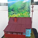 ���� �������, �������, 49 ��� - ��������� 1 ���� 2020 � ������ ���� ����������