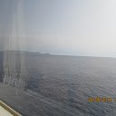 ���� ������, ������, 62 ���� - ��������� 25 ������ 2020 � ������ ���� ����������