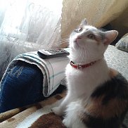 лариса, , Екатеринбург лариса, , Екатеринбург