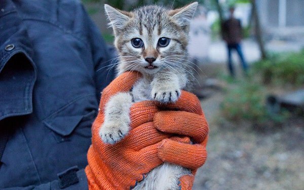 Самый лучший подарок ,сделанный своими руками - это чья-то спасенная жизнь! - 3