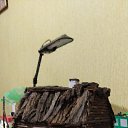 ���� �������, �������, 49 ��� - ��������� 1 ���� 2020 � ������ ���� ����������